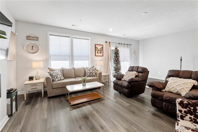 living room with wood-type flooring