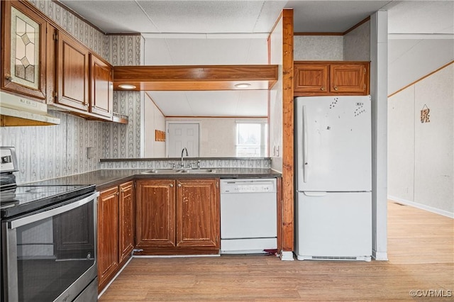 kitchen with sink, white appliances, and light hardwood / wood-style flooring