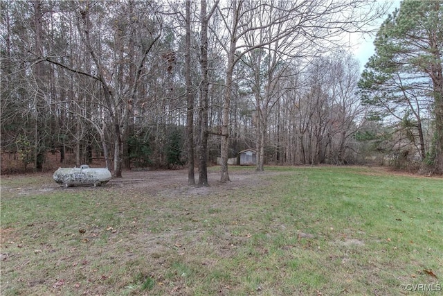 10710 Courthouse Rd, Dinwiddie, VA 23841 - view of yard featuring a storage shed