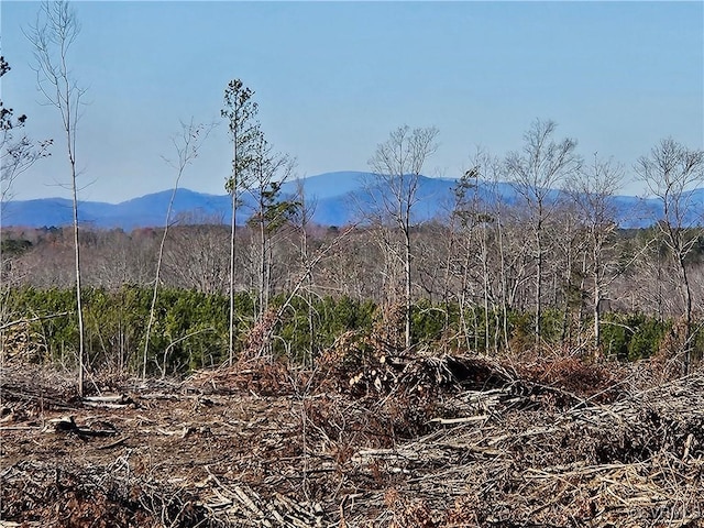 TBD Shelton Store Rd, Wingina VA, 24599 land for sale