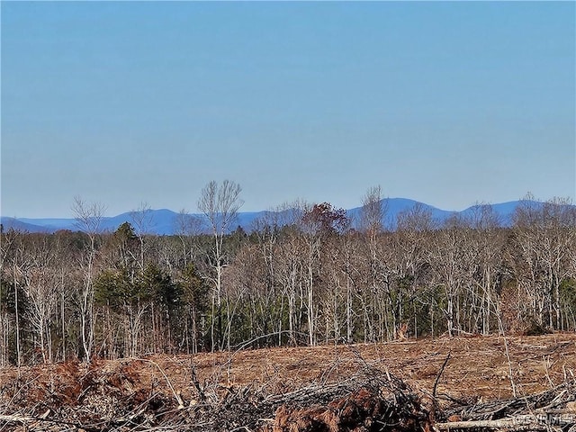 Listing photo 2 for TBD Shelton Store Rd, Wingina VA 24599