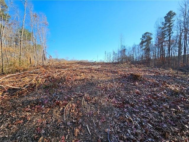 TBD Shelton Store Rd, Wingina VA, 24599 land for sale