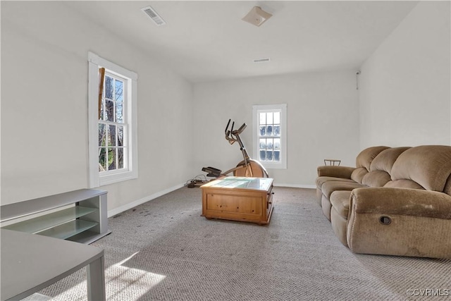 view of carpeted living room