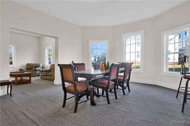 view of carpeted dining room