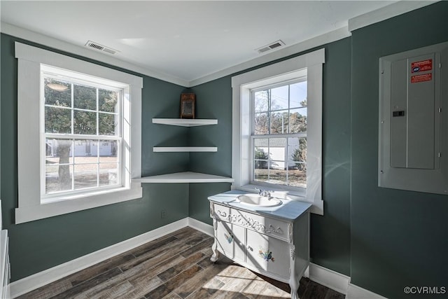 bathroom featuring sink, wood-type flooring, crown molding, and electric panel