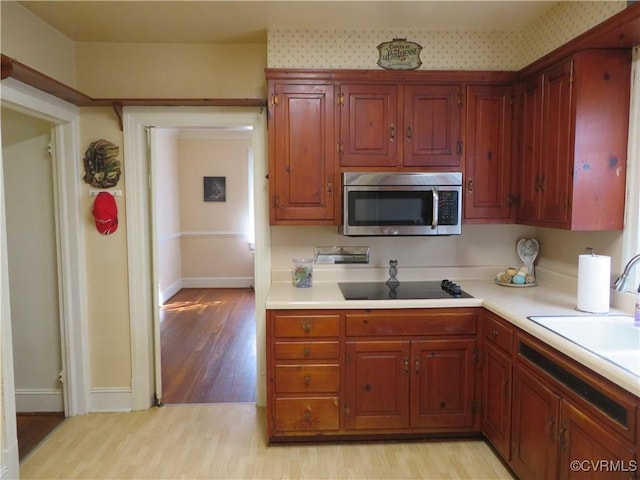 kitchen with black electric stovetop, light hardwood / wood-style flooring, and sink