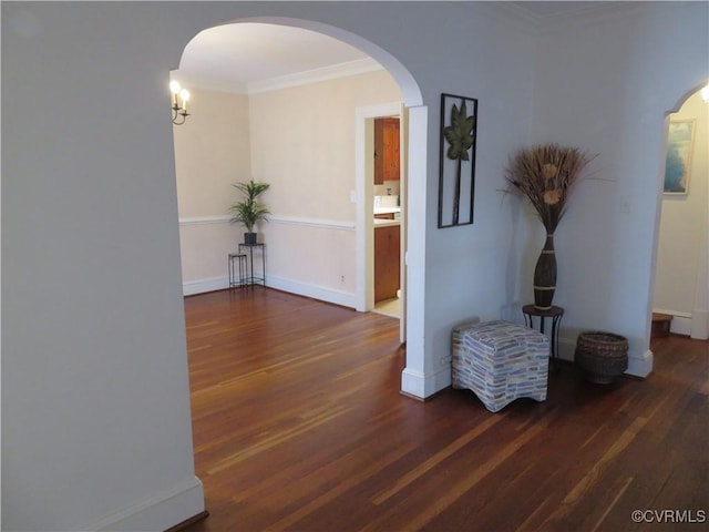 hall featuring crown molding and dark wood-type flooring