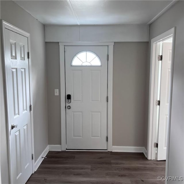 entrance foyer featuring dark wood-type flooring