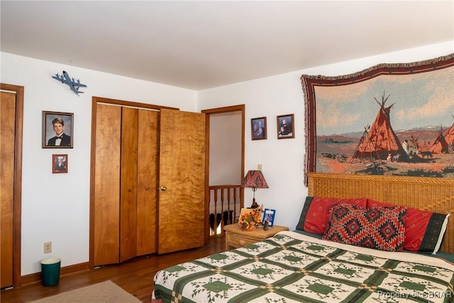 bedroom with a closet and wood-type flooring