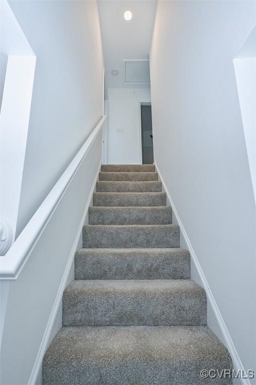 stairway featuring carpet floors