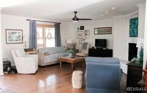 living room featuring ceiling fan and wood-type flooring