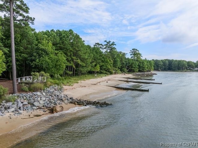 property view of water featuring a view of trees