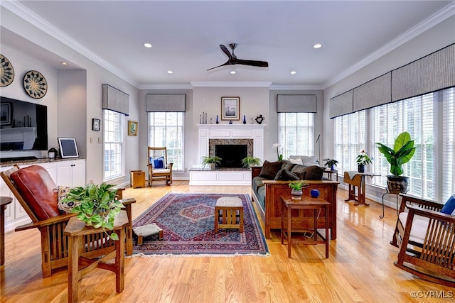 living room with ceiling fan, ornamental molding, and light wood-type flooring