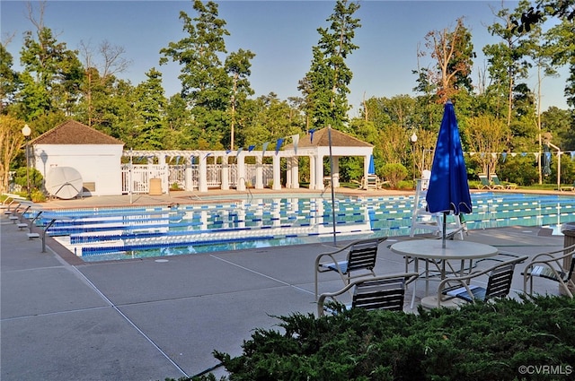 view of pool featuring a patio area