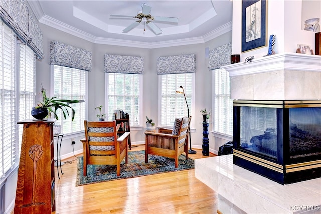 sitting room featuring a raised ceiling, hardwood / wood-style floors, and plenty of natural light