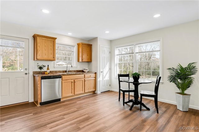 kitchen with a wealth of natural light, sink, stainless steel dishwasher, and light wood-type flooring