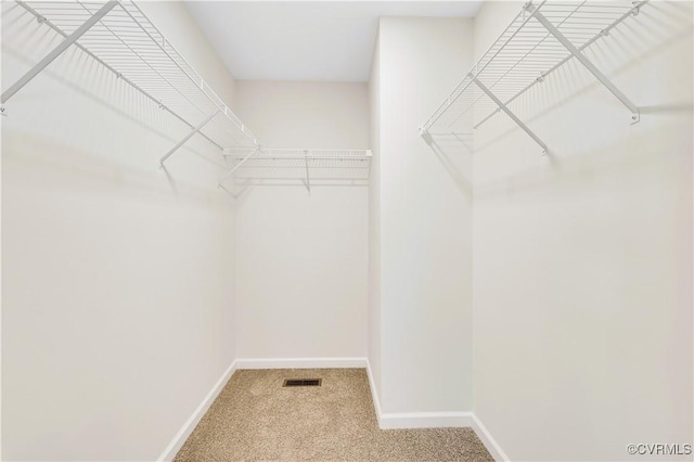 spacious closet featuring carpet floors