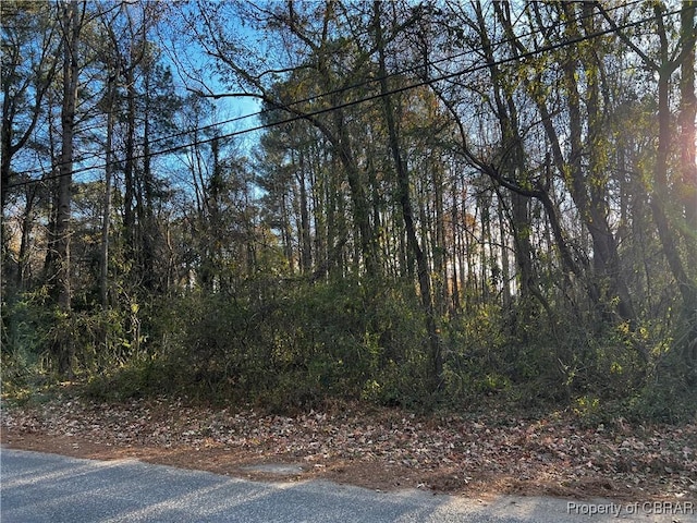 70/71 Sandlin Dr, White Stone VA, 22578 land for sale