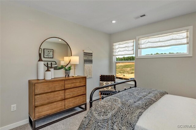 2013 Farmstead Mill Ct, Glen Allen, VA 23059 - carpeted bedroom featuring baseboards and recessed lighting