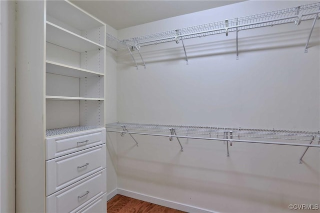 spacious closet with dark hardwood / wood-style flooring