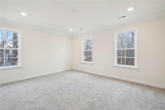 carpeted spare room with plenty of natural light and ornamental molding