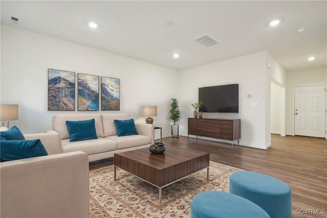 living room with wood-type flooring