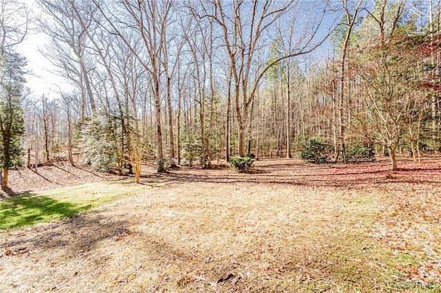 view of yard featuring a forest view