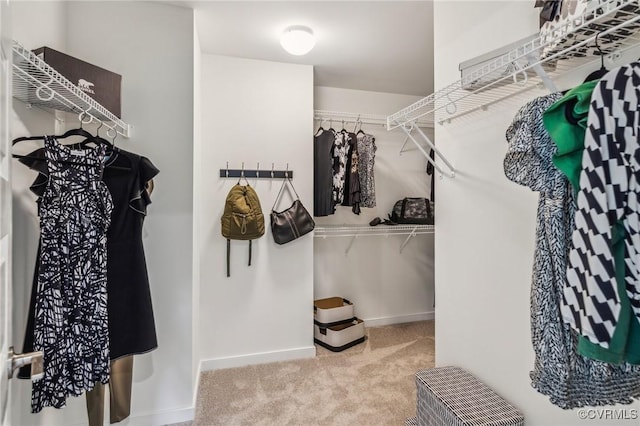 spacious closet featuring light carpet