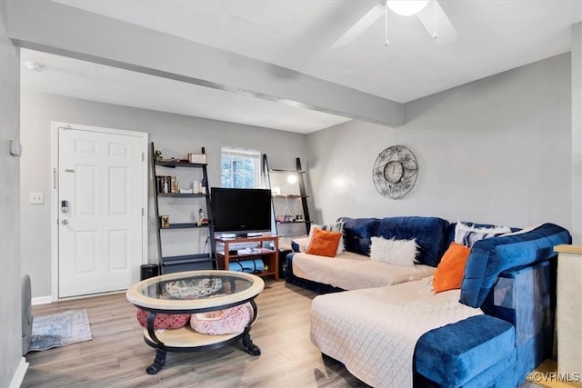 living room with ceiling fan and wood-type flooring