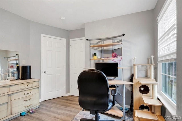 office area featuring light hardwood / wood-style floors