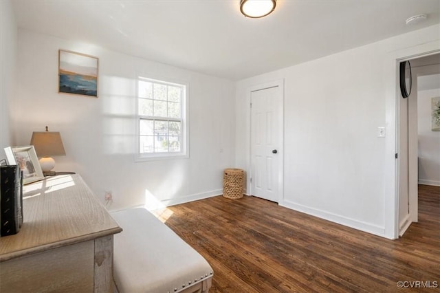 office featuring dark hardwood / wood-style floors