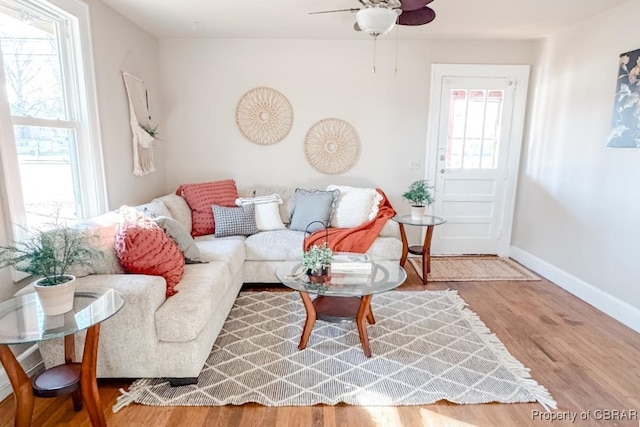 living room with ceiling fan and hardwood / wood-style floors