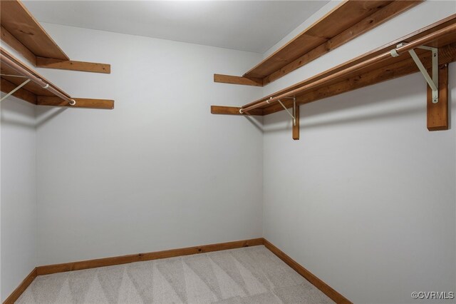 11741 Riverpark Dr, Chesterfield, VA 23838 - spacious closet featuring light colored carpet