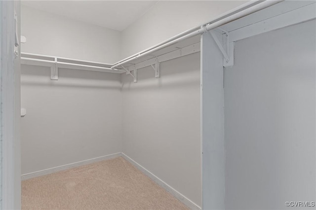 walk in closet with light colored carpet