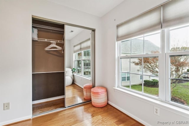 view of closet