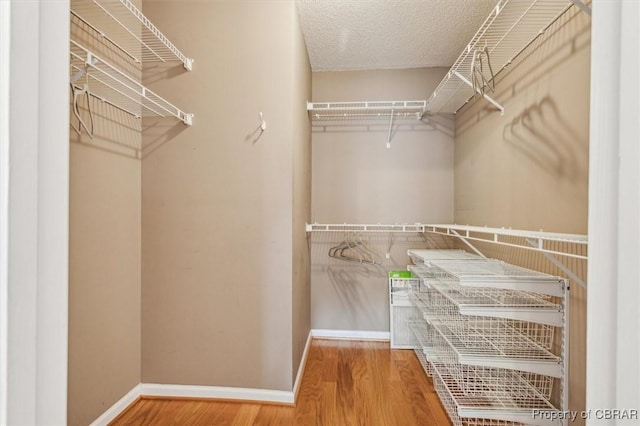 walk in closet with hardwood / wood-style floors