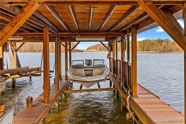 dock area with a water view