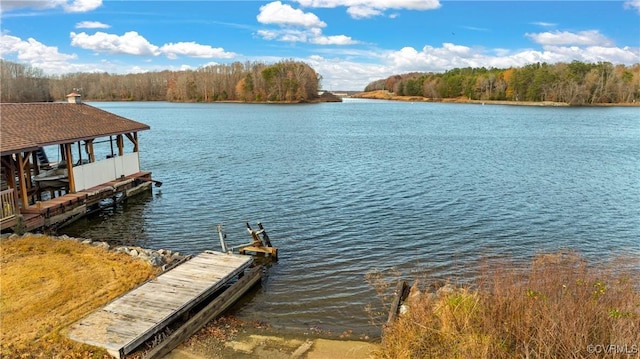 dock area with a water view