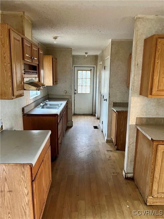 kitchen with light hardwood / wood-style flooring, a textured ceiling, and sink