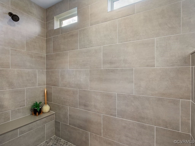 interior details with tiled shower