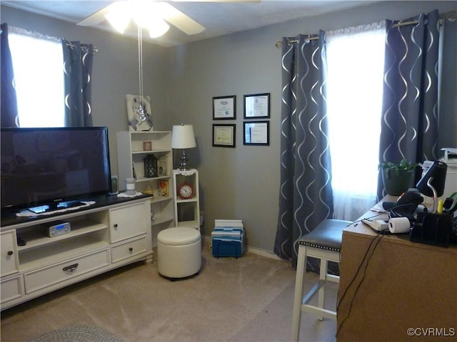 interior space featuring a healthy amount of sunlight and carpet floors