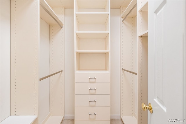 view of spacious closet