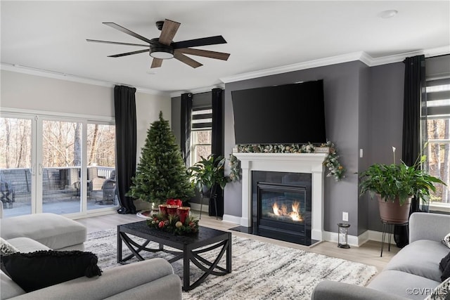 living room with ceiling fan, a healthy amount of sunlight, light hardwood / wood-style floors, and crown molding