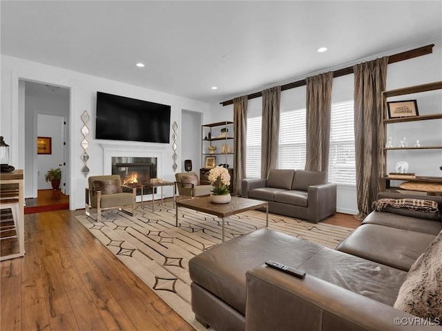 living room featuring light hardwood / wood-style flooring