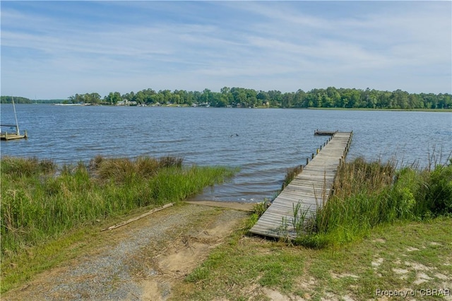 dock area with a water view