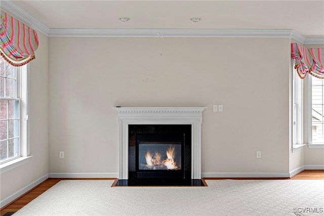 details featuring baseboards, a fireplace with flush hearth, ornamental molding, and wood finished floors