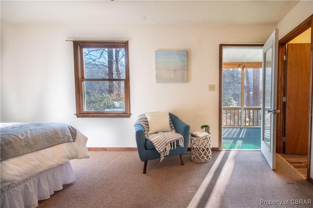 bedroom with carpet flooring and access to outside