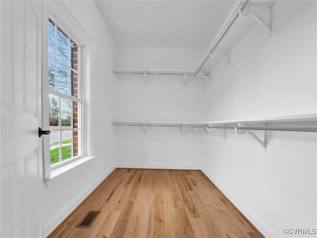 spacious closet with hardwood / wood-style floors