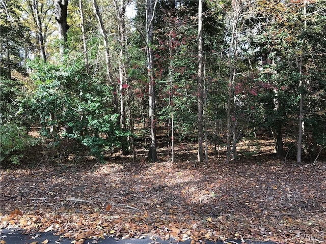 LOT946A Oaklawn Cir, Ruther Glen VA, 22546 land for sale