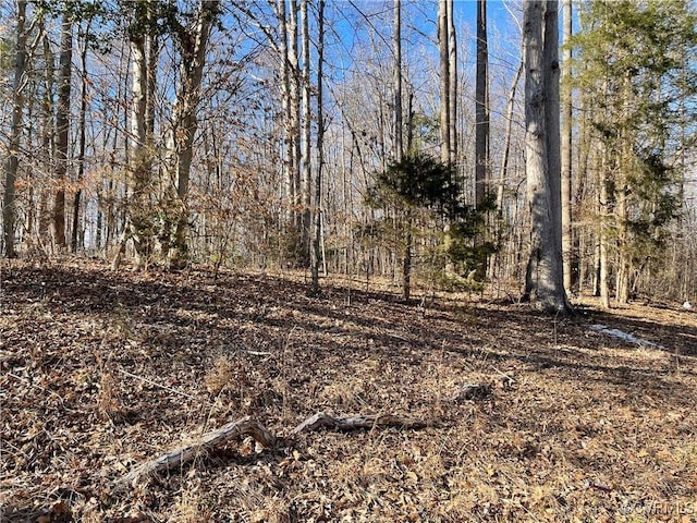 868 Bowling Ln, Ruther Glen VA, 22546 land for sale